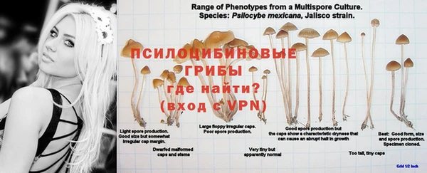 МДМА Богданович